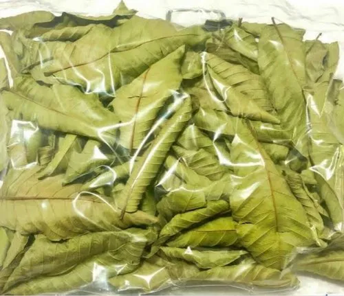mungaaru organic guava leaves – natural detox & hair care herb 200g mungaaru organic guava leaves – natural detox & hair care herb 200g