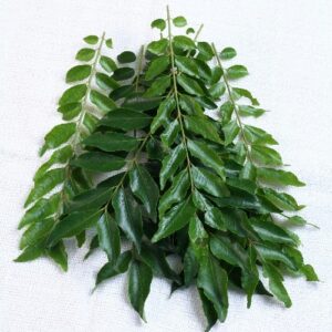 Buy curry leves at mungaaru